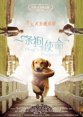 手机在线观看亚洲国产精品